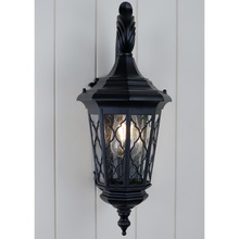 Black Ronan Outdoor Wall Light